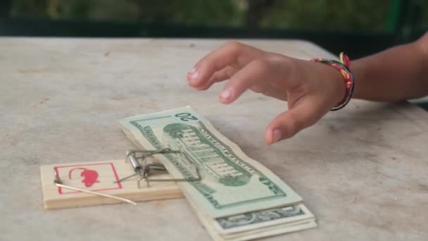Щуряча Пастка Збирає Гроші Біткоїн Готівковий Долар Символ Економіка Пастка — стокове відео