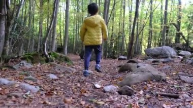 Sonbahar ormanlarında yürüyüş yapan bir çocuk.