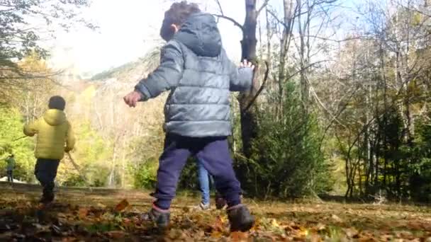 母亲带着两个孩子在山里 健康的生活方式走着自然环境的可持续性 — 图库视频影像
