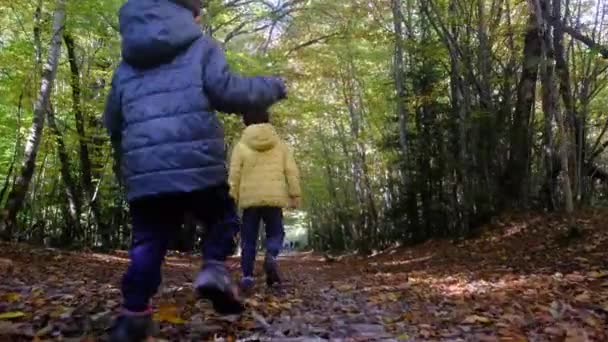 母亲带着两个孩子在山里 健康的生活方式走着自然环境的可持续性 — 图库视频影像