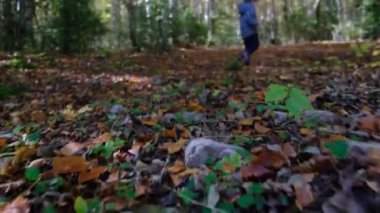 Ormanda yürüyen çocuk