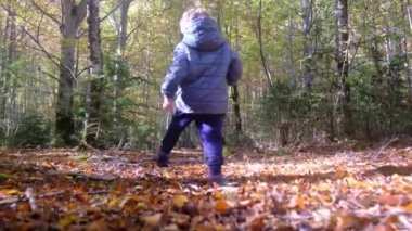 Ormanda yürüyen çocuk