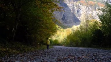 Ormanda yürüyen genç bir çocuk. Sonbahar, seyahat..