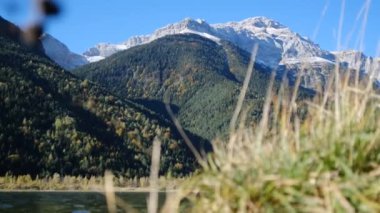 Sonbahar ve kışın doğal manzarası güneşli bir günde, soğuk ve sakin, ağaçlardan ve dağlardan yaprakları alıp götürüyor..