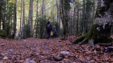 Genç yürüyüş meraklılarıyla güneşli mevsimlerin tadını çıkarın. Oğullarıyla dağlarda yürüyüş yapan bir kadın. 