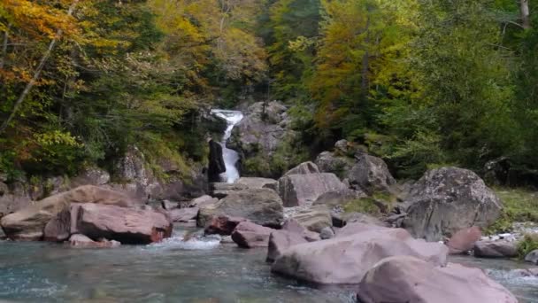 Wodospad Lesie — Wideo stockowe
