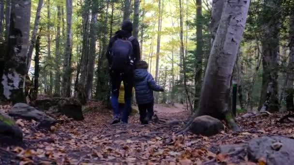Enjoy Sunny Seasons Youthful Hiking Enthusiasts Woman Her Sons Hiking — Stock Video
