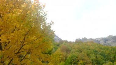 Manzara dağ sonbaharı kış renkleri kırmızı sarı kahverengi konsept mevsim değişimi doğa panoramik yapraklar yapraklar manzara