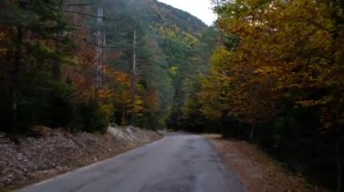 Manzara dağ sonbaharı kış renkleri kırmızı sarı kahverengi konsept mevsim değişimi doğa panoramik yapraklar yapraklar manzara