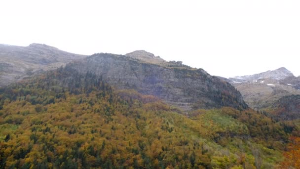 山の秋の冬の色赤黄褐色のコンセプトの変更季節の自然パノラマの落ち葉の風景 — ストック動画