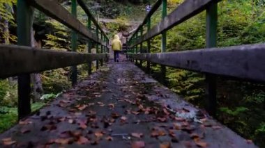 Manzara dağ sonbaharı kış renkleri kırmızı sarı kahverengi konsept mevsim değişimi doğa panoramik yapraklar yapraklar manzara