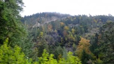 Manzara dağ sonbaharı kış renkleri kırmızı sarı kahverengi konsept mevsim değişimi doğa panoramik yapraklar yapraklar manzara