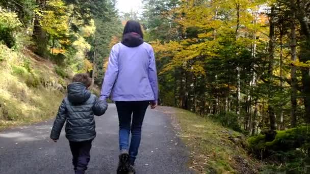Mother Walking Son Autumn Park — Stock Video