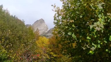 Manzara dağ sonbaharı kış renkleri kırmızı sarı kahverengi konsept mevsim değişimi doğa panoramik yapraklar yapraklar manzara