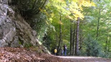 Manzara dağ sonbaharı kış renkleri kırmızı sarı kahverengi konsept mevsim değişimi doğa panoramik yapraklar yapraklar manzara