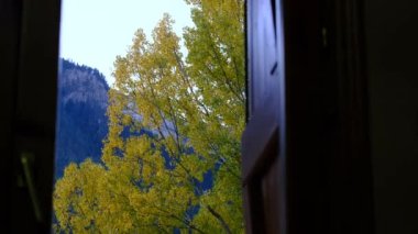 Manzara dağ sonbaharı kış renkleri kırmızı sarı kahverengi konsept mevsim değişimi doğa panoramik yapraklar yapraklar manzara