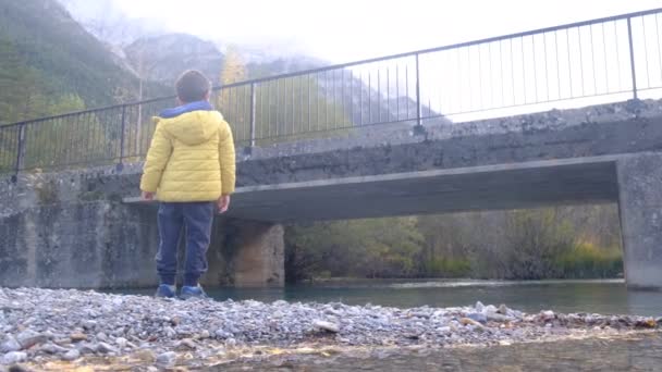 Junge Wirft Steine Fluss Wald — Stockvideo