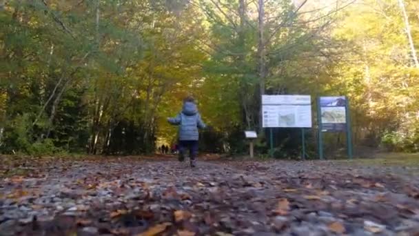 Család Erdőben Ősz Tél Természetes Környezet Gyermekek Anya Játszik Séta — Stock videók