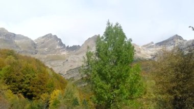 Manzara dağ sonbaharı kış renkleri kırmızı sarı kahverengi konsept mevsim değişimi doğa panoramik yapraklar yapraklar manzara