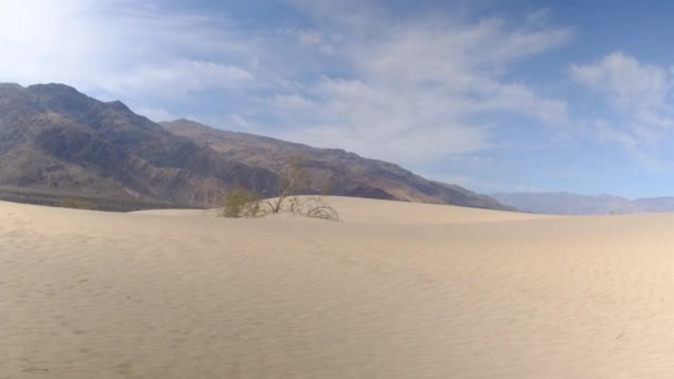 Піщані Дюни Пустелі — стокове відео
