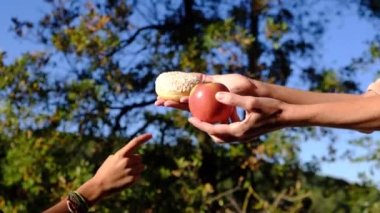Anne ve oğlunun elleri meyve, endüstriyel hamur işi ve donut arasında seçim yapıyor. Sağlıklı meyve ve abur cubur arasında seçim yapmak zararlı beslenme, diyet konsepti yoluyla yararlı. Gıda eğitimi 