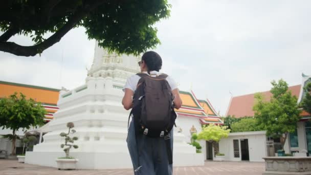 동남아시아의 문화의 아키텍처 파고다에서 여행을 여행자 — 비디오