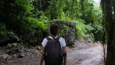 Sırt çantalı kadın turist, tropikal dağda yürüyüş yapıyor.