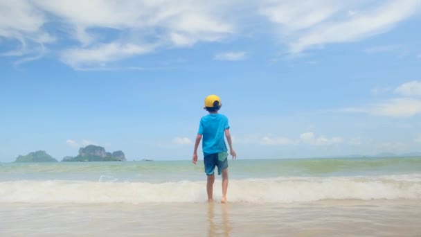 海を楽しむ小さな少年 波で遊ぶ 休暇中に幸せな感情 — ストック動画