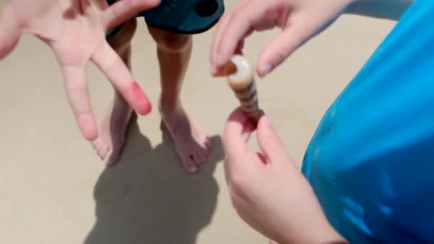 Маленькі Хлопчики Грають Пляжі Продажем Один Хлопчик Хазяїн Пальцем — стокове відео