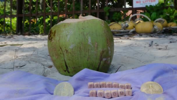 Zielony Kokos Kryptowaluta Białym Piasku Turkusowej Plaży Morskiej — Wideo stockowe