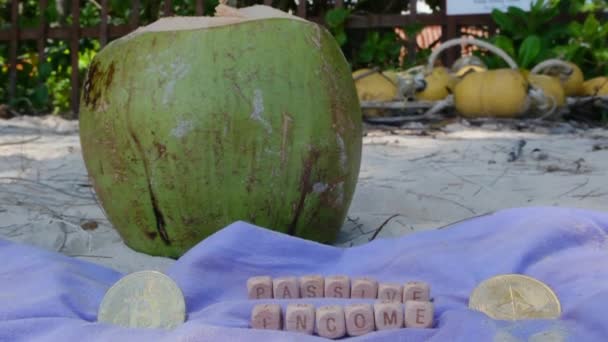 碧绿的椰子和加密货币在碧绿的海滩上的白沙滩上 — 图库视频影像