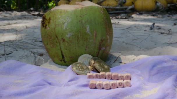 청록색 해변의 모래에 화폐와 코코넛 — 비디오