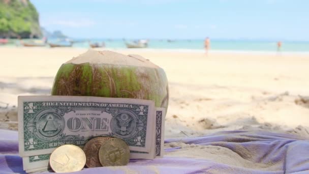 Zielony Kokos Pieniędzmi Białym Piasku Turkusowej Plaży Morskiej — Wideo stockowe