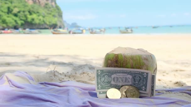 청록색 해변의 모래에 코코넛 — 비디오