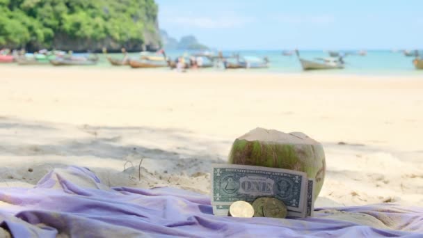 Πράσινη Καρύδα Χρήματα Στη Λευκή Άμμο Της Γαλαζοπράσινης Παραλίας — Αρχείο Βίντεο