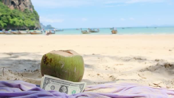 Grüne Kokosnuss Mit Geld Weißen Sand Des Türkisfarbenen Meeresstrandes — Stockvideo