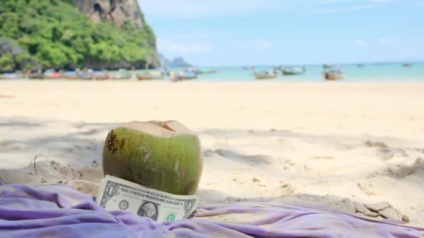 Πράσινη Καρύδα Χρήματα Στη Λευκή Άμμο Της Γαλαζοπράσινης Παραλίας — Αρχείο Βίντεο