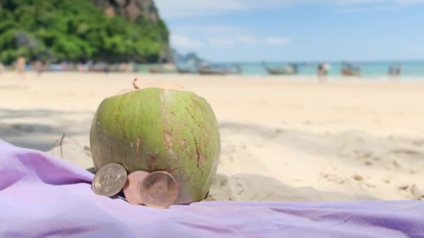 청록색 해변의 모래에 화폐와 코코넛 — 비디오