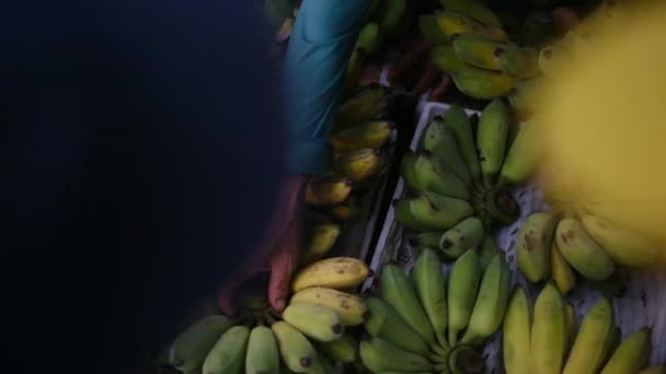 Plátanos Venta Mercado — Vídeo de stock