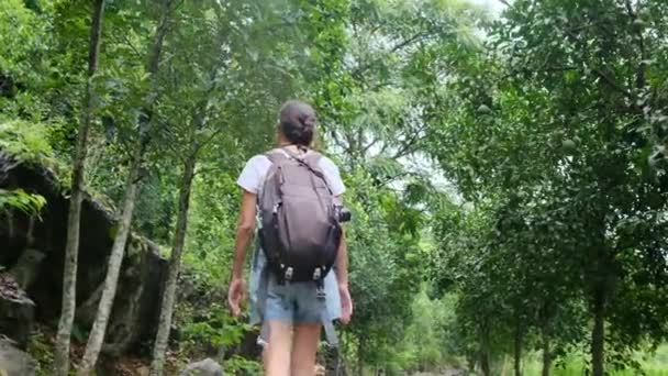 Женщина Туристка Шляпе Рюкзаком Путешествует Пешком Тропических Горах — стоковое видео