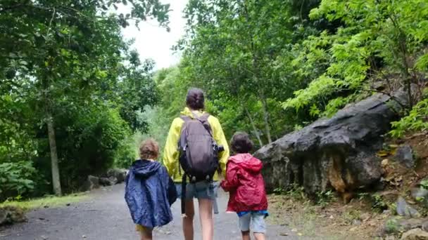 子供とジャングルを歩き回るバックパックを持つ母親 — ストック動画