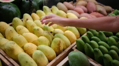 Mango seçen bir kadının yakın çekimi. 