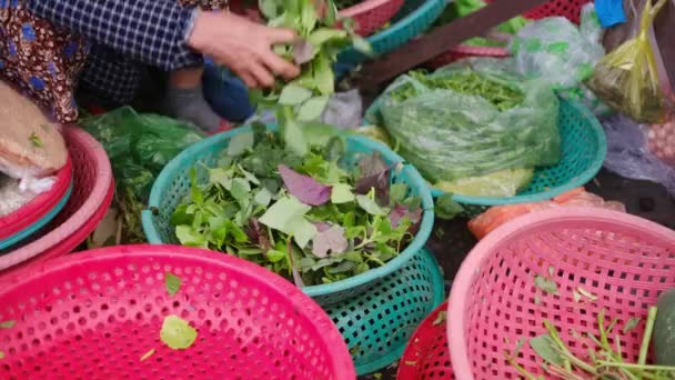 Женщина Продает Свежие Овощи Рынке — стоковое видео
