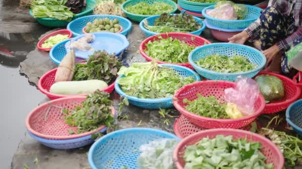 Prozkoumejte Rušné Trhy Asii Plné Pestrého Ovoce Čerstvé Zeleniny Exotických — Stock video