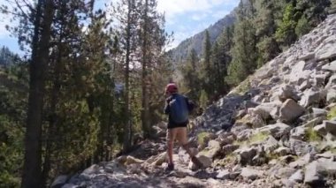 7 yaşındaki bir çocuk yaz boyunca ulusal parkta yürür.