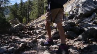 7 yaşındaki bir çocuk yaz boyunca ulusal parkta yürür.