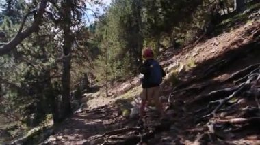 7 yaşındaki bir çocuk yaz boyunca ulusal parkta yürür.