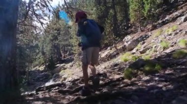 7 yaşındaki bir çocuk yaz boyunca ulusal parkta yürür.