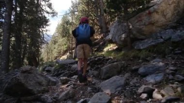 7 yaşındaki bir çocuk yaz boyunca ulusal parkta yürür.