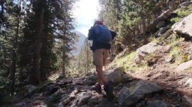 7 yaşındaki bir çocuk yaz boyunca ulusal parkta yürür.